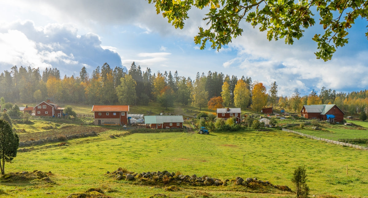 houses on grass field near forest