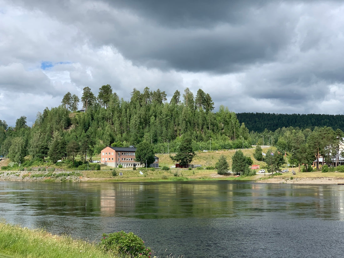 green trees near body of water under cloudy sky during daytime