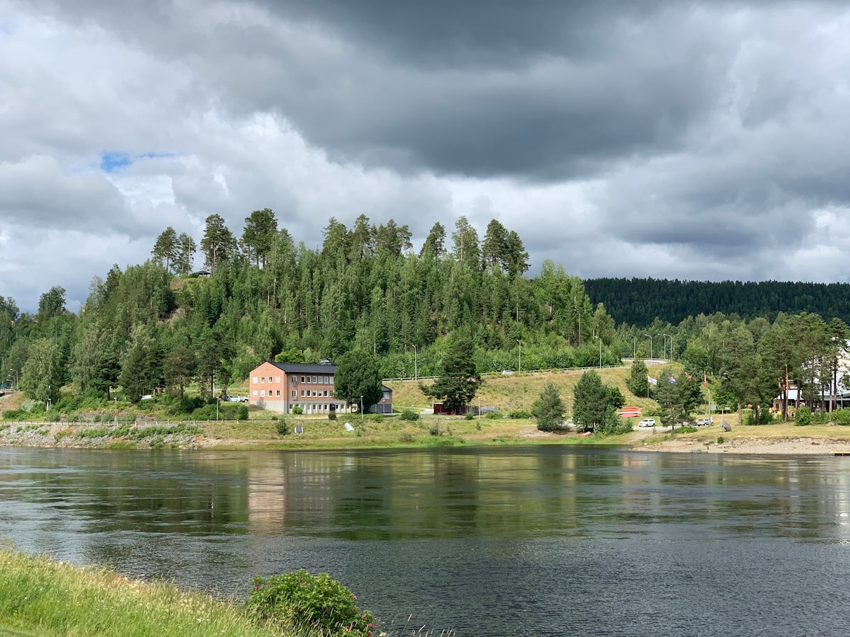 green trees near body of water under cloudy sky during daytime