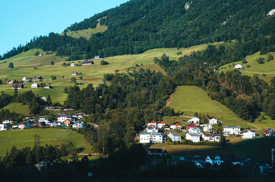 a small village nestled on a green hillside