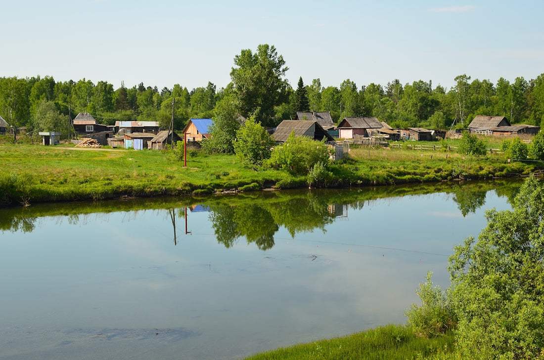 a body of water with houses and trees around it