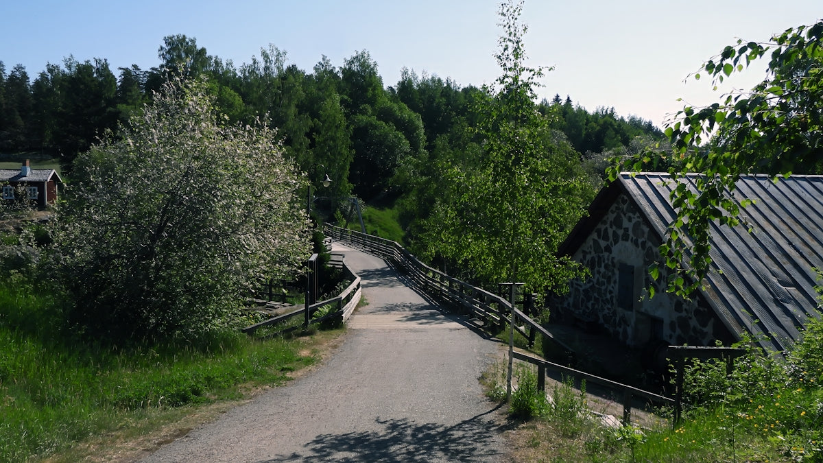 a path leading to a house in the woods