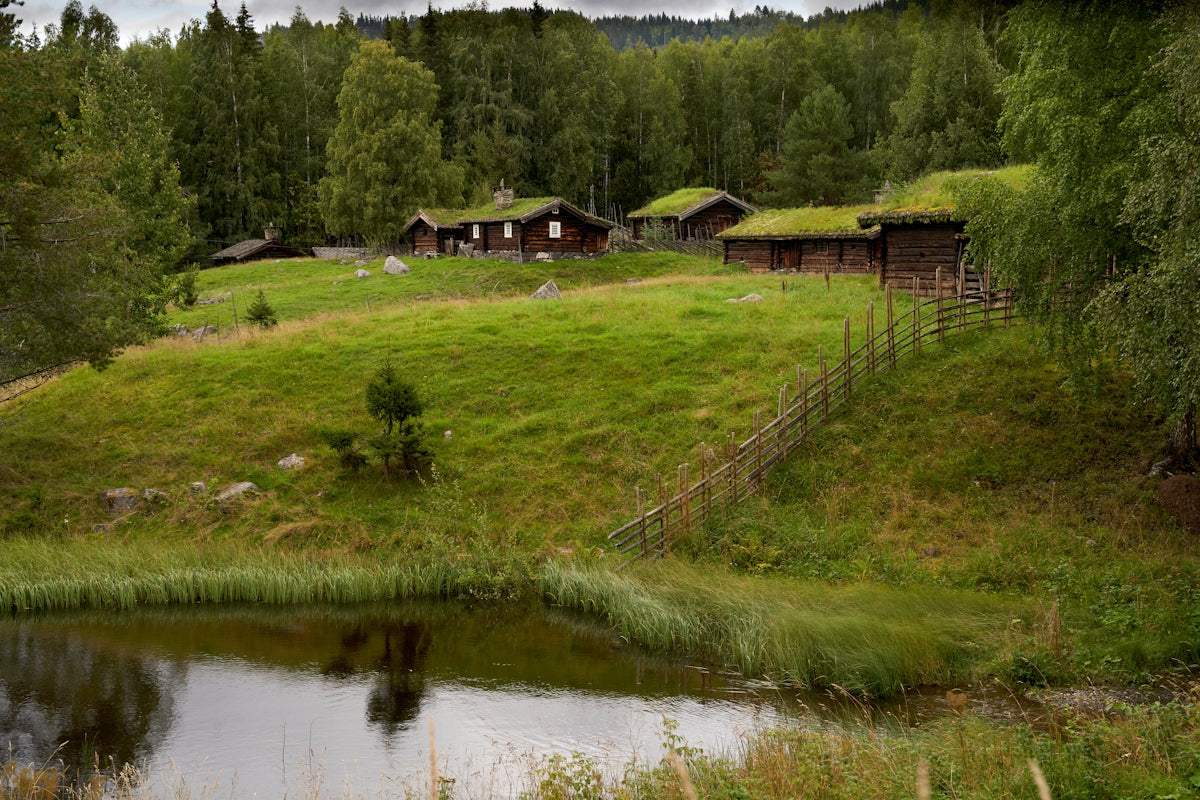 A small pond in a grassy field next to a forest