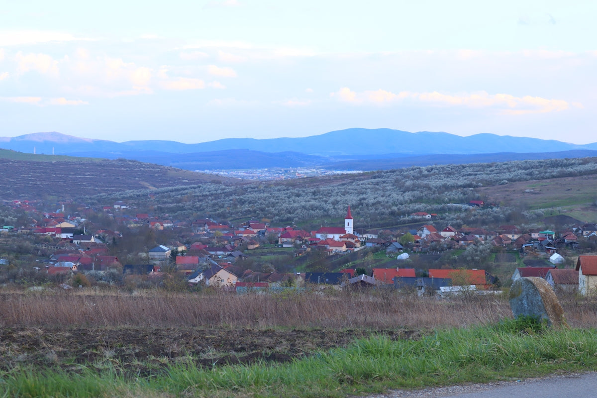 A view of a small town from a hill