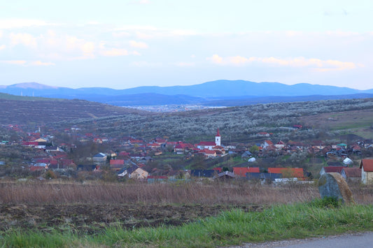 A view of a small town from a hill