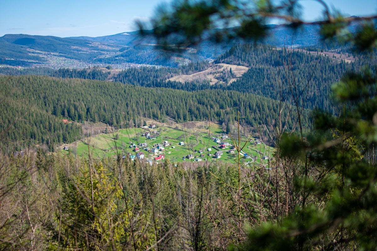 A scenic view of a forest with a small village in the distance