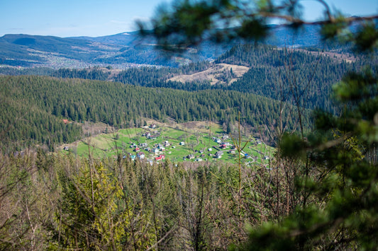 A scenic view of a forest with a small village in the distance