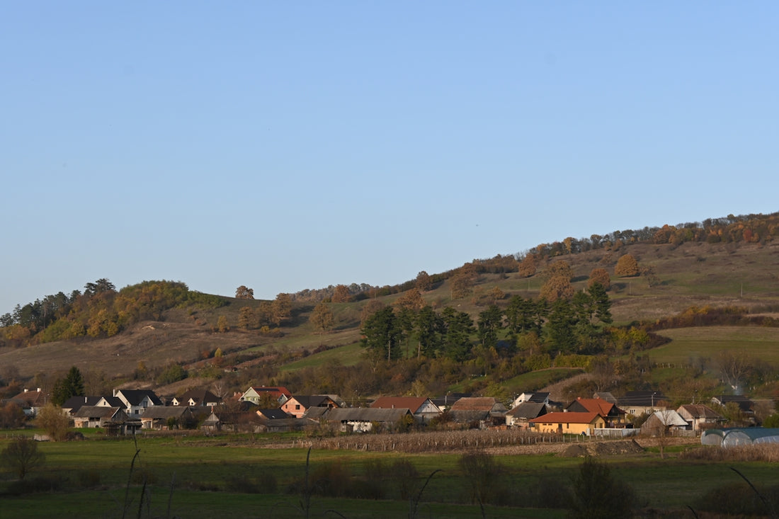A view of a small village on a hill