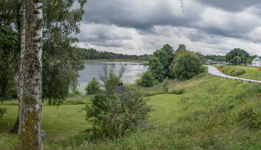 A scenic view of a road and a lake