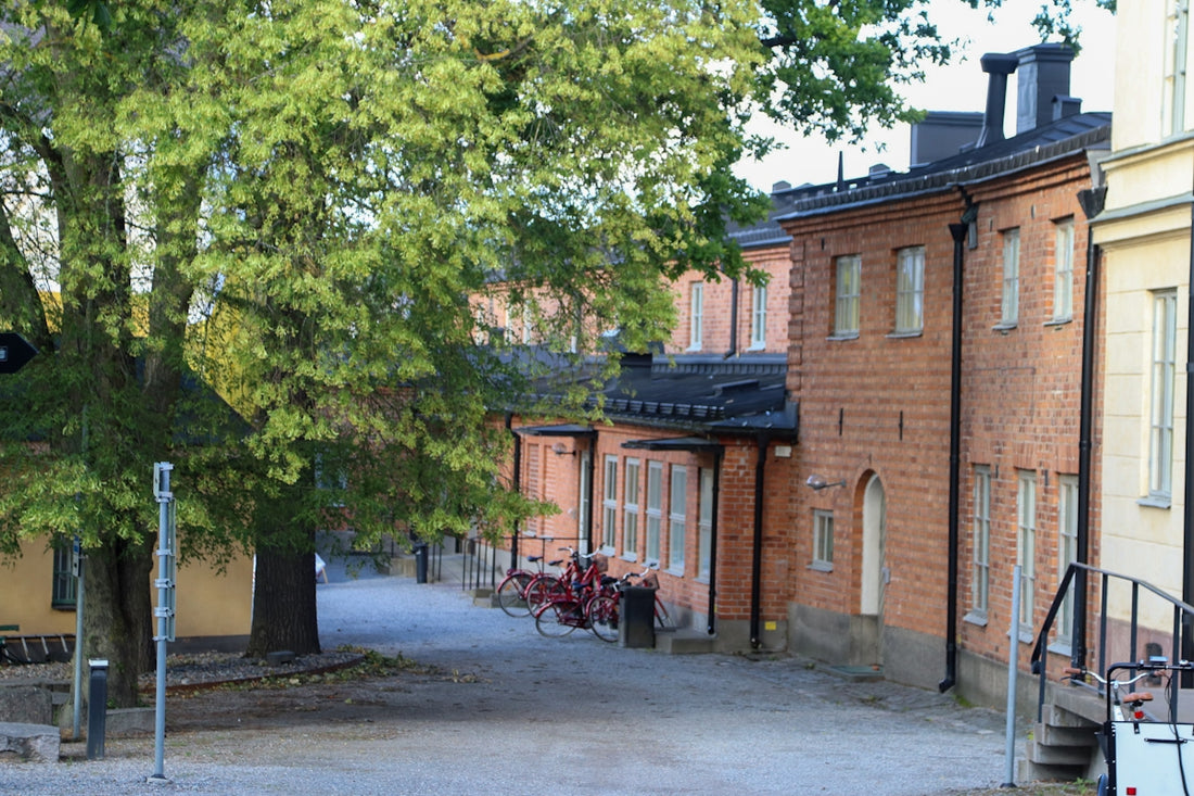 Buildings and a tree line a quiet street.