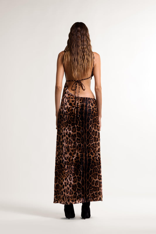 Acapulco Dress // Ghepardo - Reina Olga - DRESS