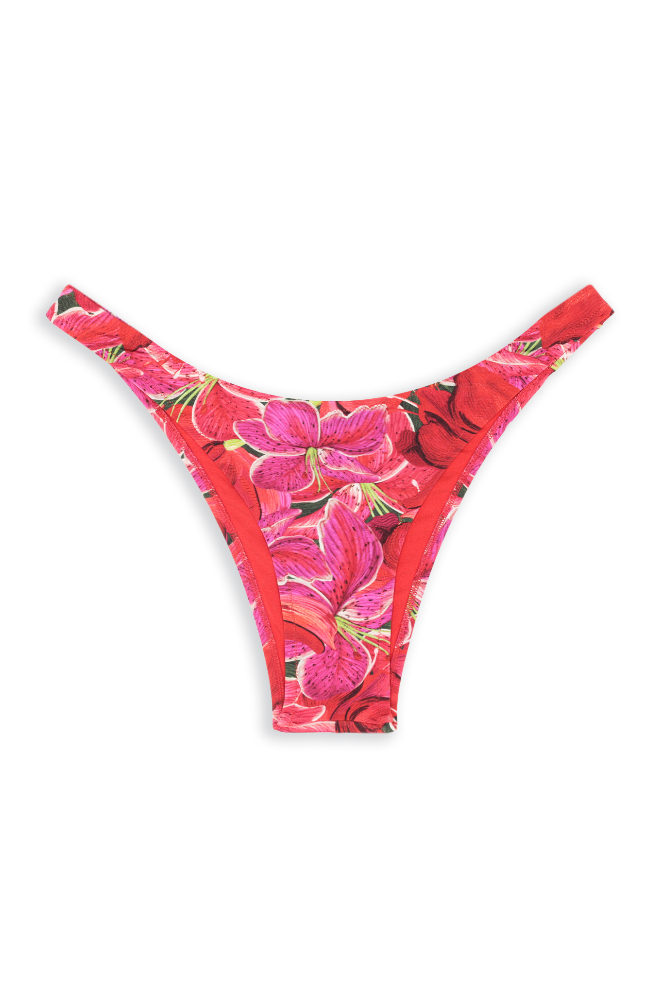 Brigitte Bikini Bottom // Thaiti - Reina Olga - BIKINI