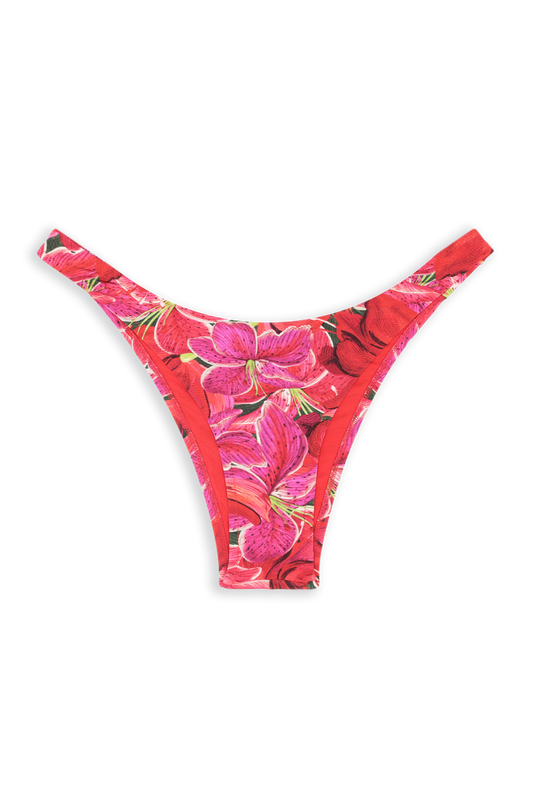 Brigitte Bikini Bottom // Thaiti - Reina Olga - BIKINI
