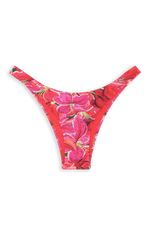 Brigitte Bikini Bottom // Thaiti - Reina Olga - BIKINI